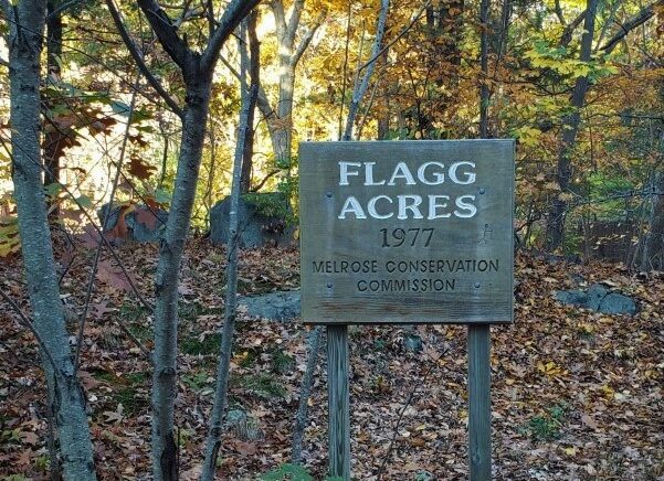Flagg Acres picture of sign and trees