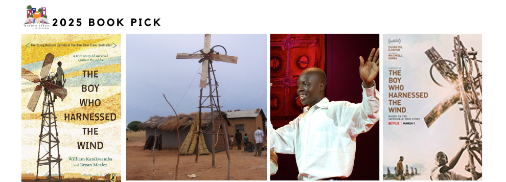 Boy who harnessed the wind